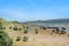 50C Raukawa Street, Strathmore Park, Wellington - Carousel 23