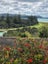 41 Rosario Crescent, Red Beach, Red Beach - Carousel 2