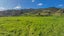3195A Tiki Road, Preece Point, Coromandel - Carousel 4