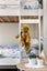 24 Sunnynook Road, Sunnynook, Auckland - Carousel 9