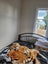 39A Takanini Road, Takanini, Auckland - Carousel 16