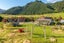 1202 Otaki Gorge Road, Hautere, Ōtaki - Carousel 26