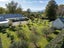 412 Wardville Road, Wardville, Waharoa - Carousel 5