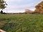 1067 Taniwha Road, Waerenga - Carousel 19