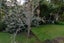 33A Island Bay Road, Beach Haven, Auckland - Carousel 9