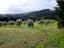 125c Frantoio Ridge Road, Mangonui, Mangonui - Carousel 9