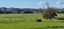 82 Jefferis Road, Waerenga - Carousel 11