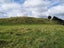 63 Hinamoki Drive, Kaiwaka - Carousel 5