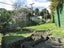 50 Catherine Crescent, Paparangi, Wellington - Carousel 6