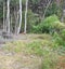 6 Lavinia Place, Kawau Island - Carousel 3