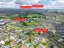 10 Hedge Row, Sunnyhills, Auckland - Carousel 31