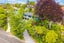 3B Virginia Road, Saint Johns Hill, Whanganui - Carousel 21