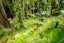 90 Laingholm Drive, Laingholm, Auckland - Carousel 35