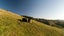 0 Win Valley Road, Dovedale, Wakefield - Carousel 7