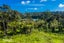 4 Henry Blyth Lane, Greenhithe, Auckland - Carousel 6