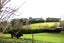 118 Old Port Road, Warepa - Carousel 18