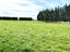 113 Mill Road South, Mill Road, Invercargill - Carousel 33