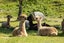 1067 Taylor Pass Road, Taylor Pass, Blenheim - Carousel 26