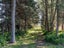 1776 State Highway 2, Tauherenikau, Greytown - Carousel 18