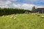 61 Loburn Whiterock Road, Loburn, Rangiora - Carousel 32