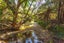 877 Tiki Quarry Road, Preece Point, Coromandel - Carousel 18