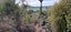 0 Darkies Terrace Road, Charleston, Cape Foulwind - Carousel 4