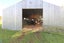 119 Actaeon Road, Makarewa - Carousel 36