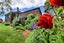 49 Crawford Road, Gore - Carousel 26