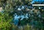 51 Ferry Parade, Herald Island, Auckland - Carousel 2