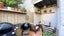 1/12 Taranaki Road, Kohimarama, Auckland - Carousel 12