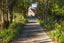 236A Tim Road, Whakamarama, Tauranga - Carousel 41