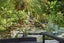 24A Orchard Rd, Waiake, North Shore City - Carousel 19