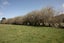 22 Raumaewa Road, Mangaweka - Carousel 17