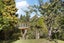 1D Balloch Street, Fairfield, Hamilton - Carousel 11
