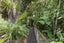 56 Sylvan Valley Avenue, Titirangi, Auckland - Carousel 16