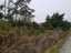 274 Utopia Road, Westport, Westport - Carousel 1