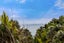 114 Trig Hill Road, Onetangi, Waiheke Island - Carousel 6