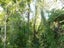35 Mokihinui Preserve, Seddonville, Westport - Carousel 22