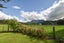 1830 State Highway 30, Horohoro, Rotorua - Carousel 21