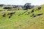 282 Stanley Road, Te Popo, Stratford - Carousel 6