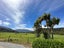 1084 State Highway 67, MOKIHINUI, WESTPORT - Carousel 23