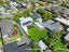 268 Lyttelton Street, Spreydon, Christchurch - Carousel 3