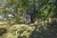 23 Chester Road, Clareville, Carterton - Carousel 13