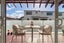 8/98 Anzac Street, Takapuna, Auckland - Carousel 4