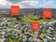 8 Daniell Street, Solway, Masterton - Carousel 18