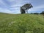 65 Otewa Road, Otorohanga, Ōtorohanga - Carousel 11