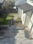 25A Sierra Street, Glendowie, Auckland - Carousel 6