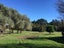 80 Blackbridge Road, Albany - Carousel 24