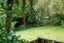 431 Don Buck Road, Massey, Auckland - Carousel 32