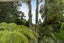 238 Scenic Drive, Titirangi, Auckland - Carousel 28